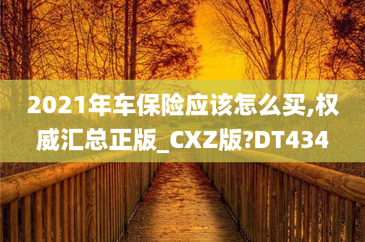 2021年车保险应该怎么买,权威汇总正版_CXZ版?DT434