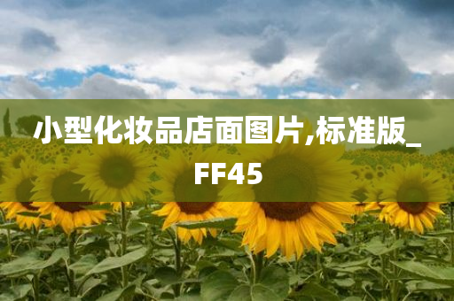 小型化妆品店面图片,标准版_FF45