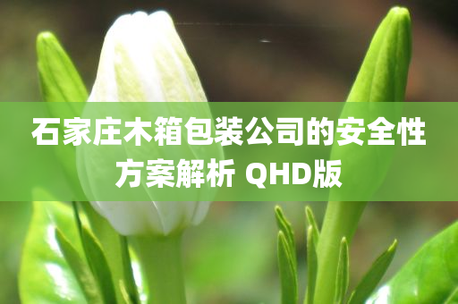 石家庄木箱包装公司的安全性方案解析 QHD版