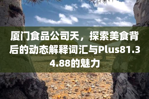 厦门食品公司天，探索美食背后的动态解释词汇与Plus81.34.88的魅力