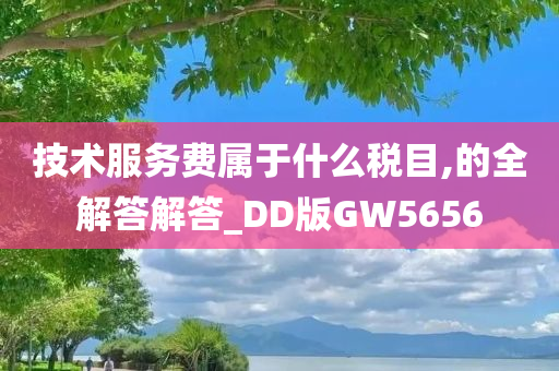 技术服务费属于什么税目,的全解答解答_DD版GW5656