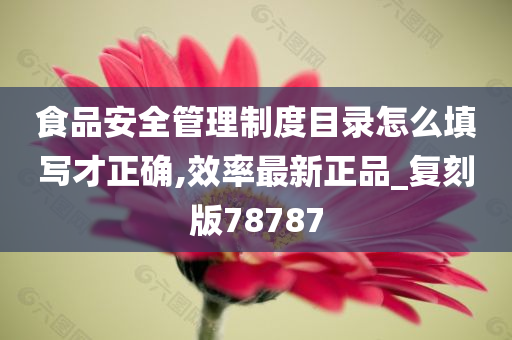 食品安全管理制度目录怎么填写才正确,效率最新正品_复刻版78787