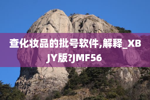 查化妆品的批号软件,解释_XBJY版?JMF56