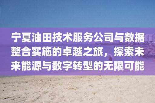 宁夏油田技术服务公司与数据整合实施的卓越之旅，探索未来能源与数字转型的无限可能