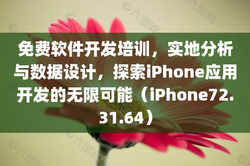 免费软件开发培训，实地分析与数据设计，探索iPhone应用开发的无限可能（iPhone72.31.64）