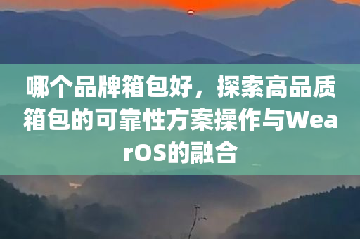 哪个品牌箱包好，探索高品质箱包的可靠性方案操作与WearOS的融合