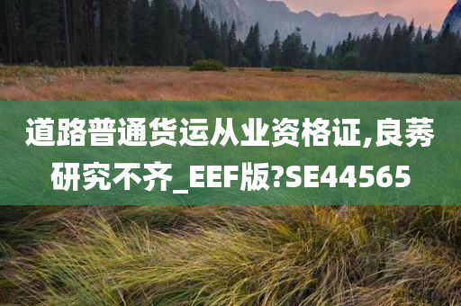 道路普通货运从业资格证,良莠研究不齐_EEF版?SE44565