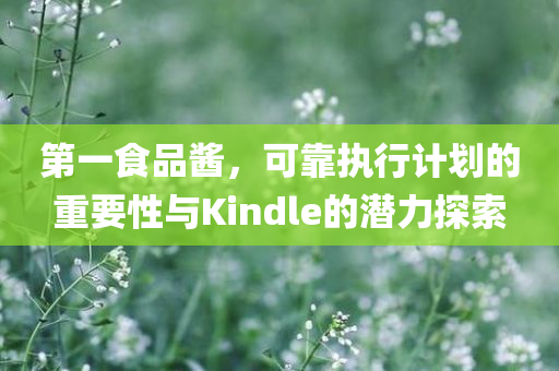 第一食品酱，可靠执行计划的重要性与Kindle的潜力探索