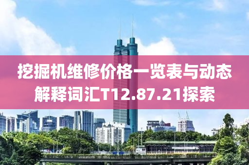 挖掘机维修价格一览表与动态解释词汇T12.87.21探索