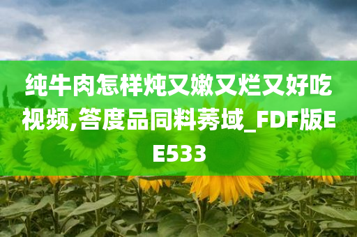 纯牛肉怎样炖又嫩又烂又好吃视频,答度品同料莠域_FDF版EE533