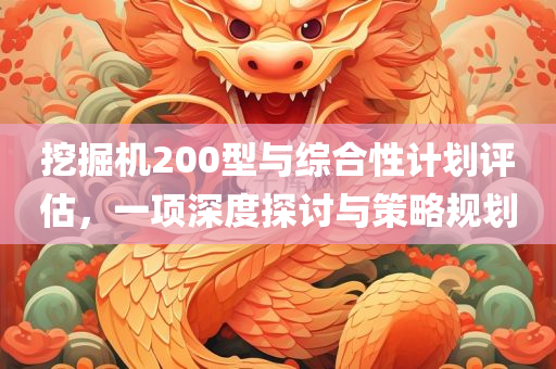 挖掘机200型与综合性计划评估，一项深度探讨与策略规划