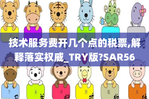 技术服务费开几个点的税票,解释落实权威_TRY版?SAR56