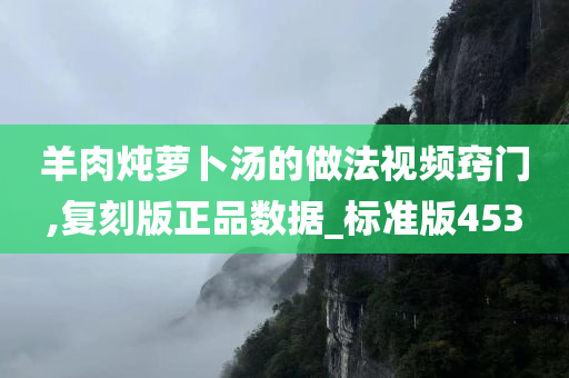 羊肉炖萝卜汤的做法视频窍门,复刻版正品数据_标准版453