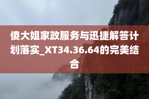 傻大姐家政服务与迅捷解答计划落实_XT34.36.64的完美结合