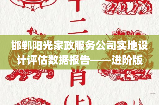 邯郸阳光家政服务公司实地设计评估数据报告——进阶版